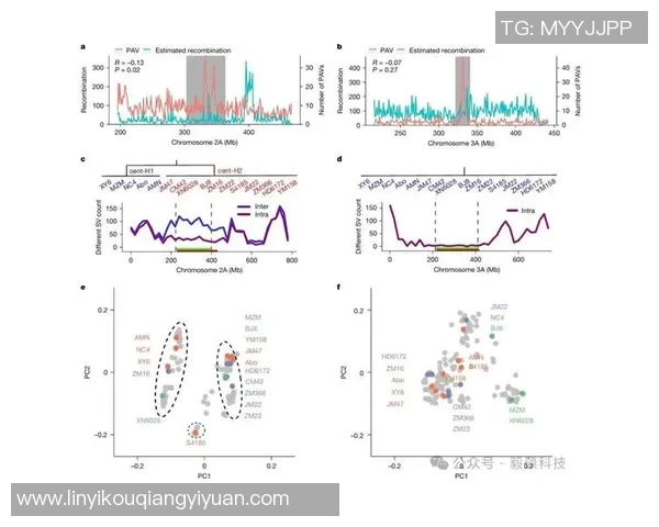 深入探讨IG在不同节奏下的表现与数据分析方法